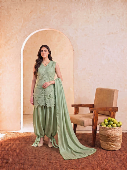 Aaira Pistachio